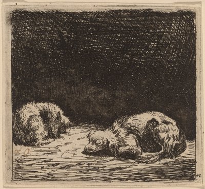 Hund og katt av Karel Dujardin
