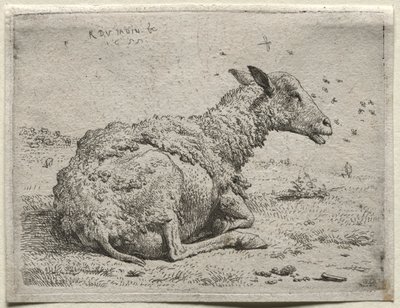 Sauene og fluene. av Karel Dujardin