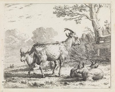  av Karel Dujardin