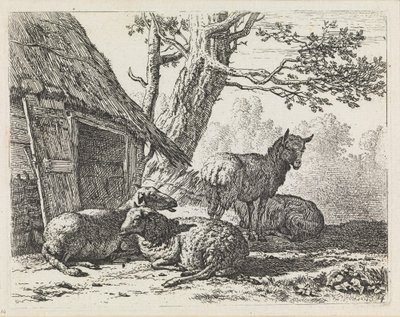  av Karel Dujardin