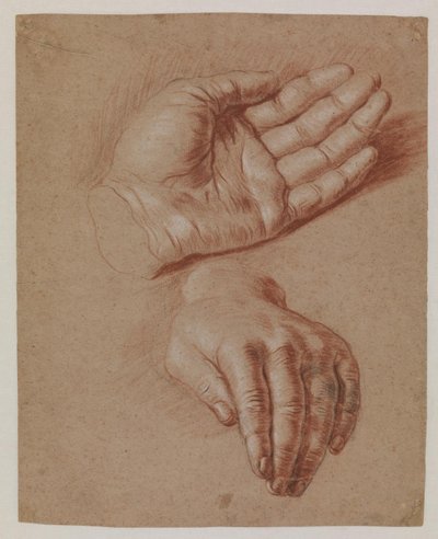 Studier av to hender. av Karel van III Mander