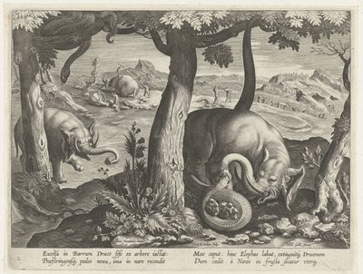 Olifant møtte slang i kamp Jachttaferelen (serietittel) Jakten på vilt, fugl og fisk i Bestiary (serietittel) av Karel van Mallery (attributed to)