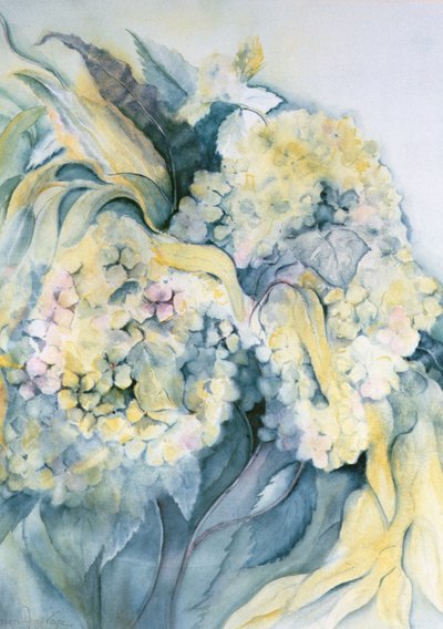 Hortensia Particulata av Karen Armitage