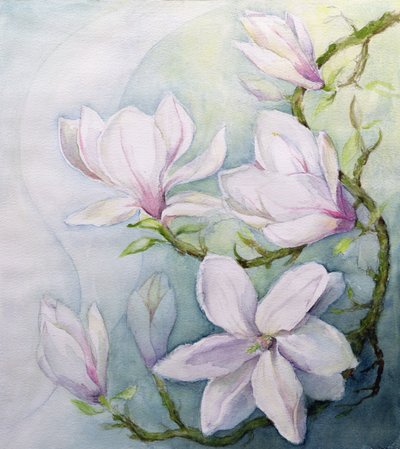 Magnolia (wc) av Karen Armitage