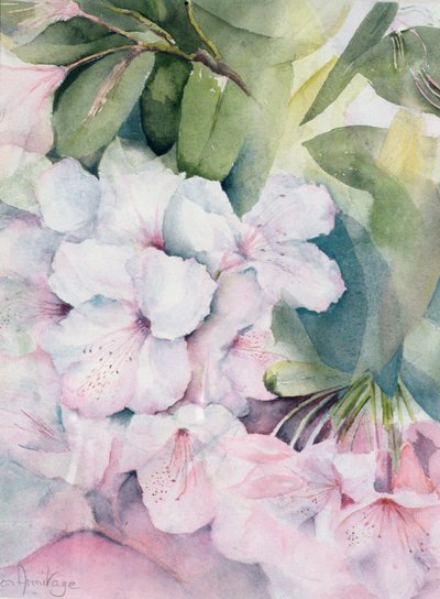 Morgenmagi av Karen Armitage