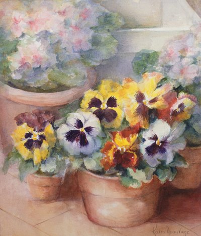 Stemorblomster i en vinterhage av Karen Armitage