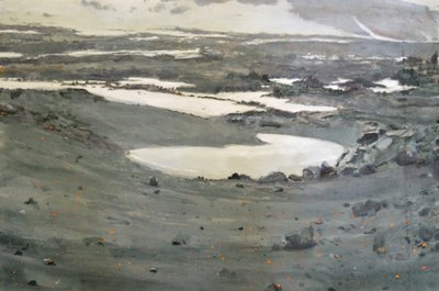  av Karin Bos