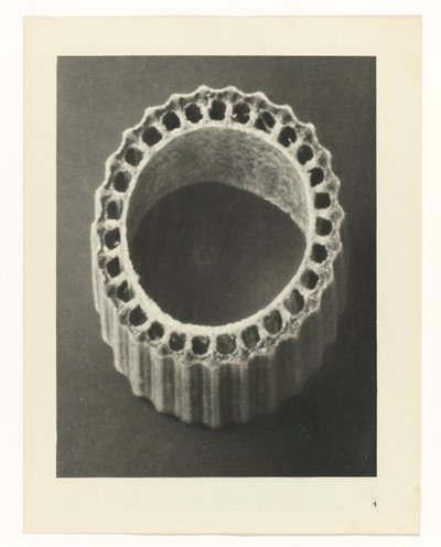 Plant Studies Archetypes of Art: Photographic Images of Plants (serietittel) av Karl Blossfeldt