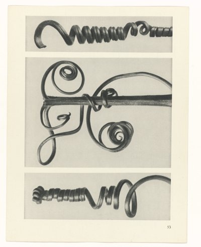 planlegge studie Archetypes of Art (serietittel) av Karl Blossfeldt