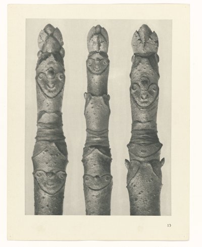 Planstudie Urformen der Kunst (serietittel) av Karl Blossfeldt