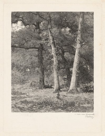 En skogrydding av Karl Bodmer