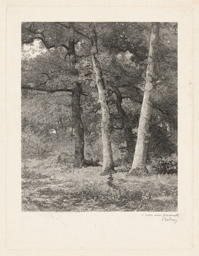  av Karl Bodmer