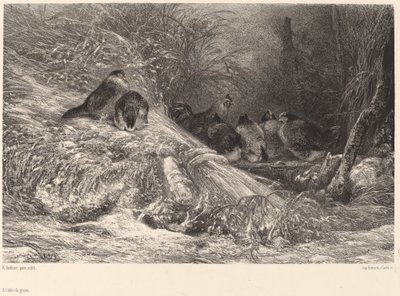 Le for frosten av Karl Bodmer