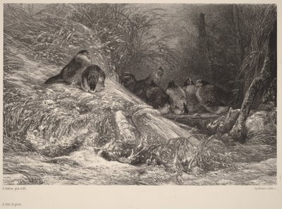  av Karl Bodmer