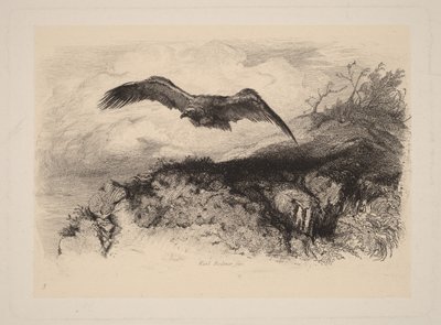  av Karl Bodmer
