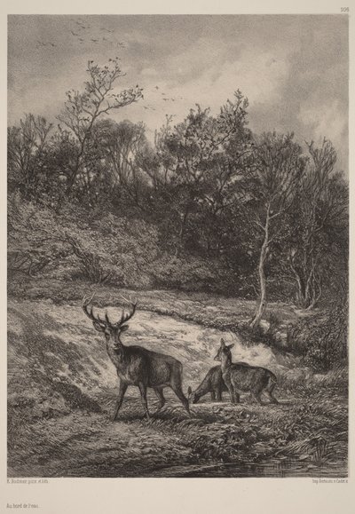  av Karl Bodmer