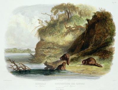 Beaver Hut on the Missouri, plate 17 fra bind 1 av `Travels in the Interior of North America