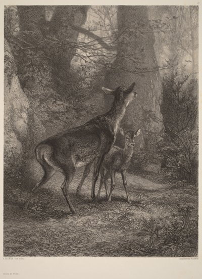  av Karl Bodmer