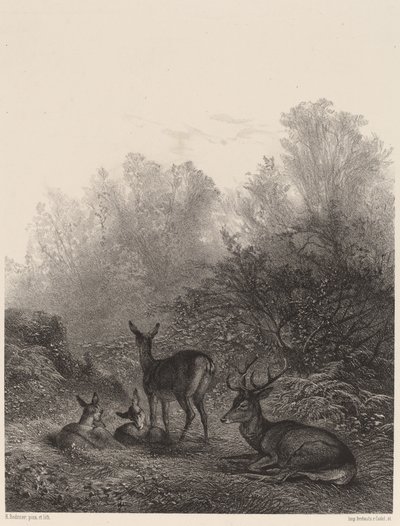 Hinder i ro. av Karl Bodmer