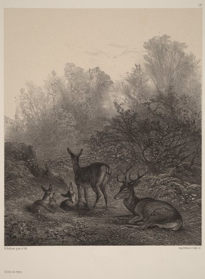  av Karl Bodmer