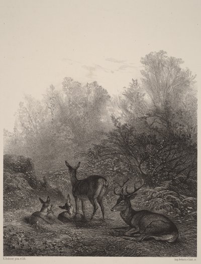  av Karl Bodmer