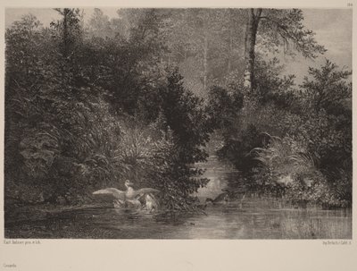  av Karl Bodmer