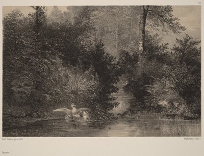  av Karl Bodmer