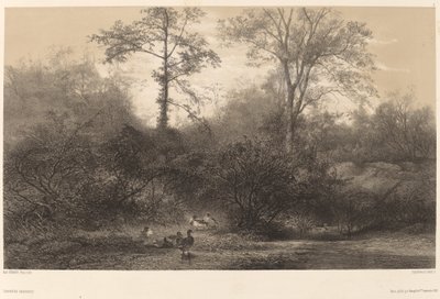 Villender av Karl Bodmer