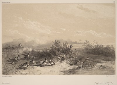  av Karl Bodmer
