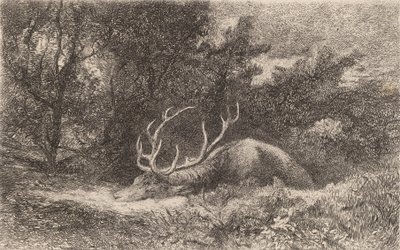 Cerf a la Reposee.    1142232   no       norwegian Successfully Translated  Original: Portret van kunstenaar Rosalba Carriera Portretten van kunstenaars (series title) Translat: Portret van kunstenaar Rosalba Carriera Portretten van kunstenaars (series tit av Karl Bodmer