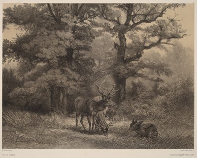  av Karl Bodmer