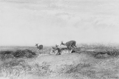  av Karl Bodmer