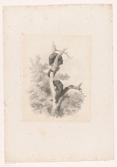 Tre bjørner i et tre Landskap med dyr (serietittel) av Karl Bodmer