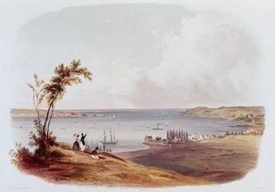 Inngang til Bay of New York, Staten Island, gravert av Salathe (farge litho) av Karl Bodmer