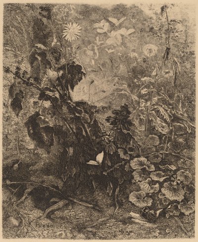 Snegler og sommerfugler. av Karl Bodmer
