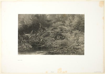 Rev på jakt av Karl Bodmer