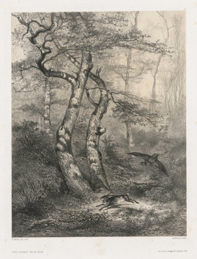 Hare forfulgt av en hønsehauk av Karl Bodmer