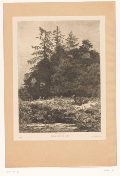 Hjort i utkanten av en skog Daims dans un parc (tittel på objekt) av Karl Bodmer