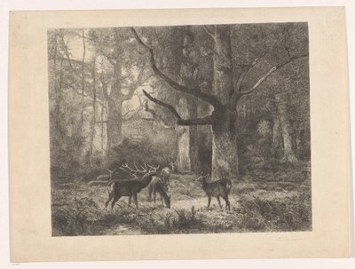 Hjort i en skog av Karl Bodmer