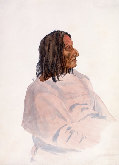 Homachséh-Kakatóhs, Piegan Blackfeet Man av Karl Bodmer