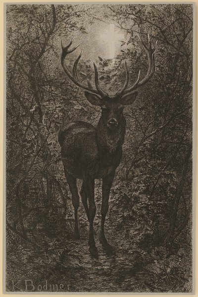  av Karl Bodmer