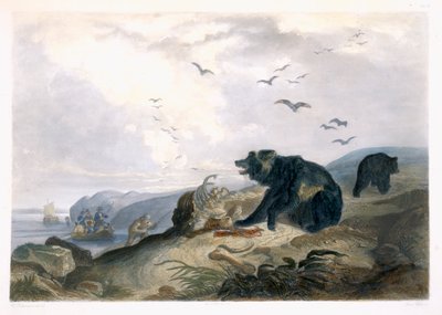 Hunting of the Grizzly Bear, plate 36 fra bind 2 av 