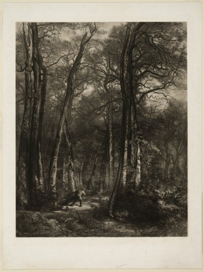 I skogen av Karl Bodmer