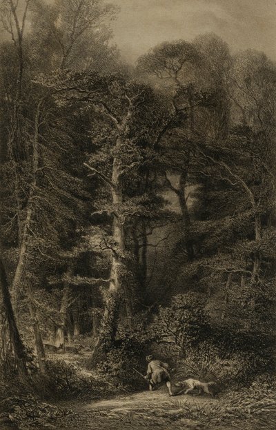  av Karl Bodmer