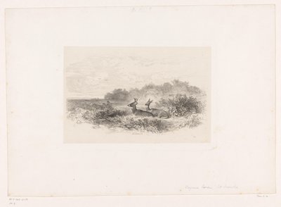 Landskap med to hvithalehjort Landskap med dyr (serietittel) av Karl Bodmer