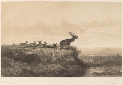 Morgenen av Karl Bodmer