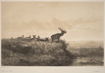  av Karl Bodmer