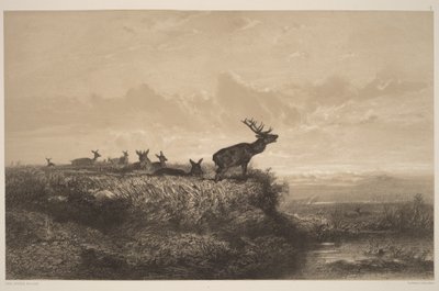  av Karl Bodmer