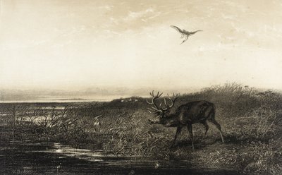  av Karl Bodmer