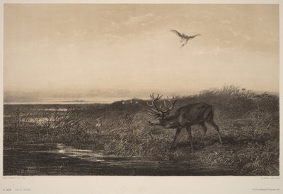  av Karl Bodmer